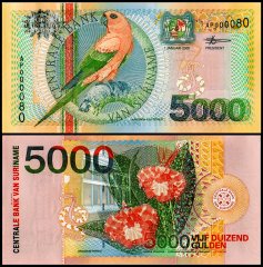 Banknote Collections